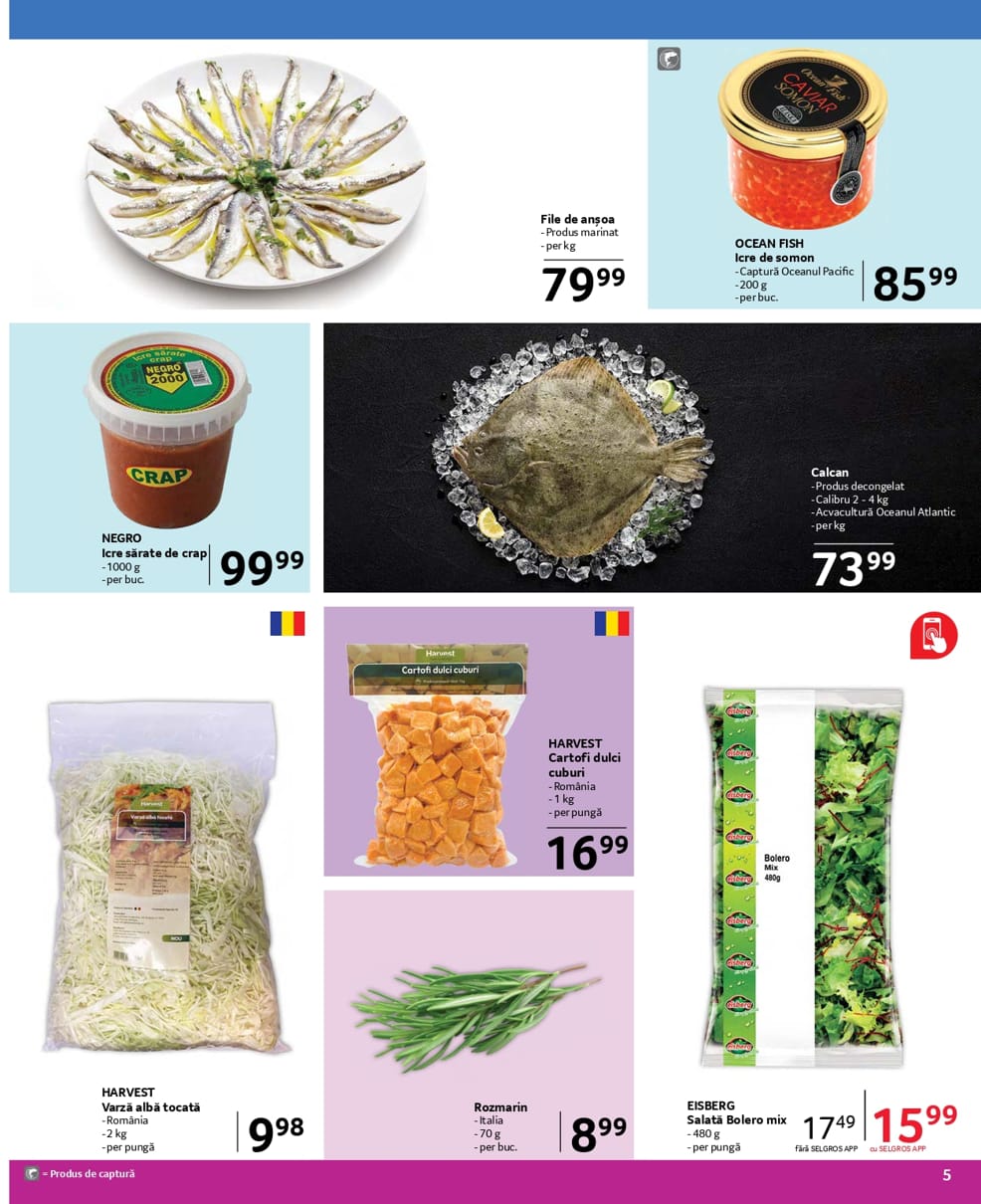 catalog Selgros gastro food